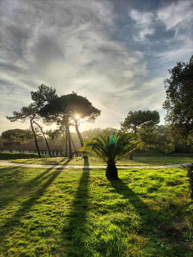 Others 3, Residence Les Salines Boyardville - Chambres et studios, Charente-Maritime