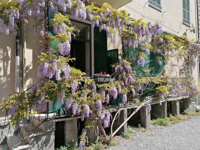 Il Giardino di Elettra - FreeParking, Genova