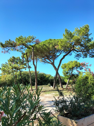 Others 5, Residence Les Salines Boyardville - Chambres et studios, Charente-Maritime