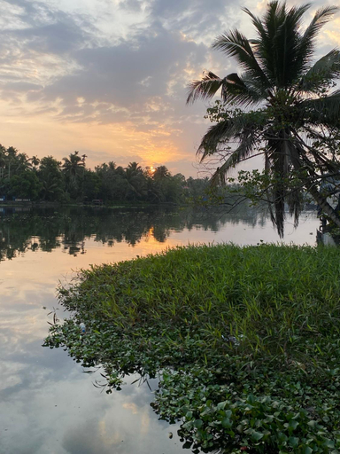 Others 3, Sunsets and Palm Trees, Alappuzha