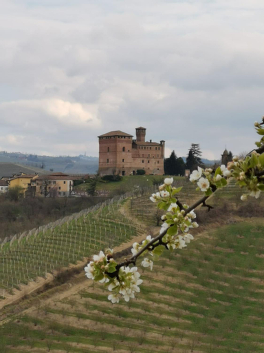 Casa Pulci, Cuneo