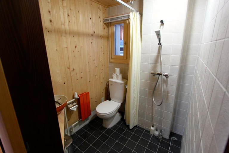 Bathroom, Tamanegi House luxury 4 bedroom Ski Chalet, Nozawaonsen