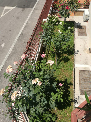 View 4, MinihouseLarissa diVerona, Verona