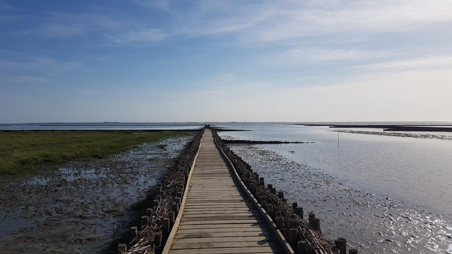 Others 4, Wohnmobilstellplatz Hemenswarft an der Nordsee - Meerblick, Nordfriesland