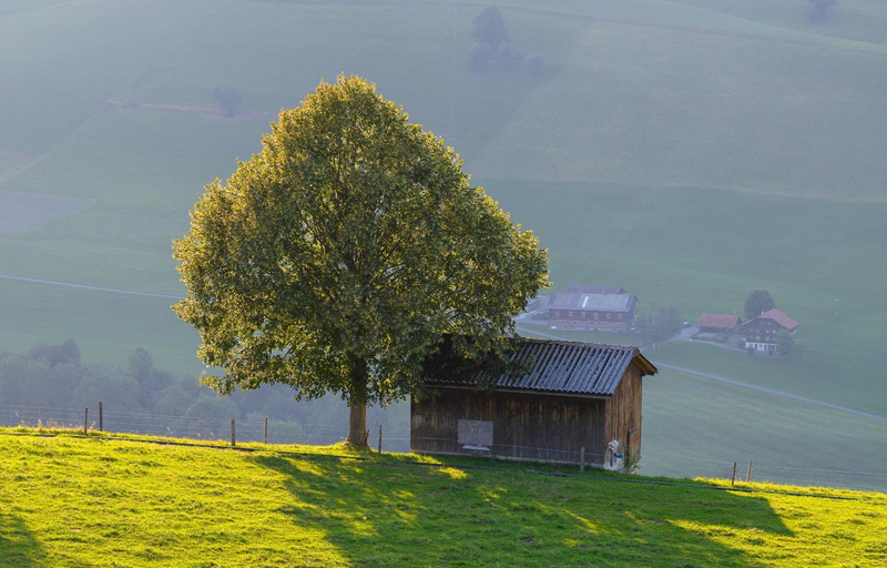 Others 2, B&B Hof Grosschreie, Entlebuch