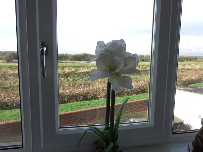 Others 3, The Haven Inn Limited, North Lincolnshire
