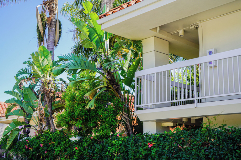 Exterior & Views 2, Uptown Oasis San Jose Airport & Silicon Valley, Santa Clara