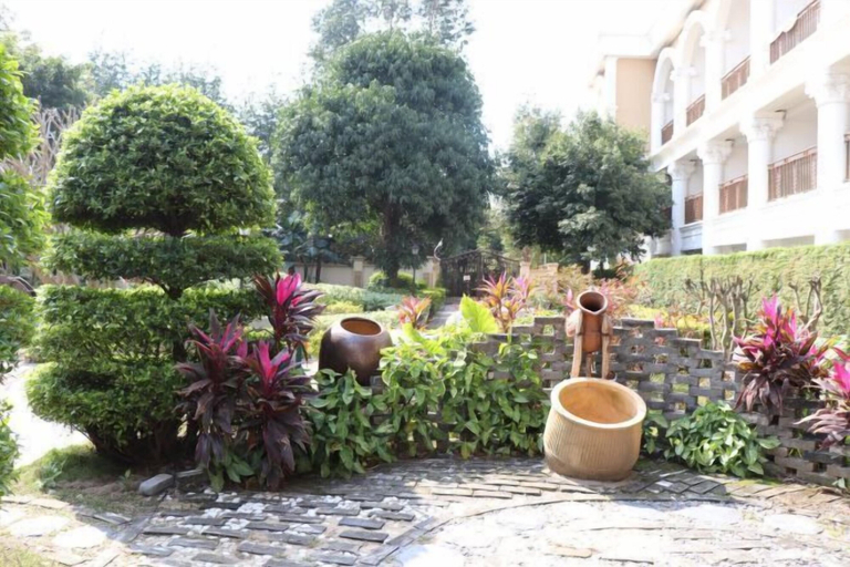 Scenery 19