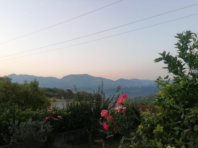 Surrounding environment