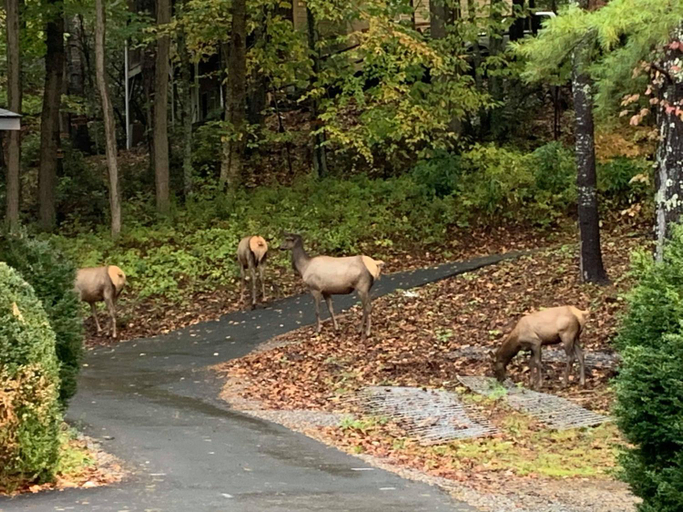 Others 5, Route 19 Inn, Haywood