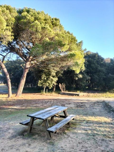 Others 4, Residence Les Salines Boyardville - Chambres et studios, Charente-Maritime