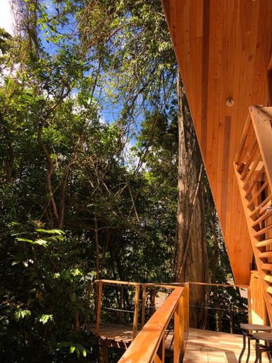 Food & Drinks 4, Tityra Lodge, Puntarenas