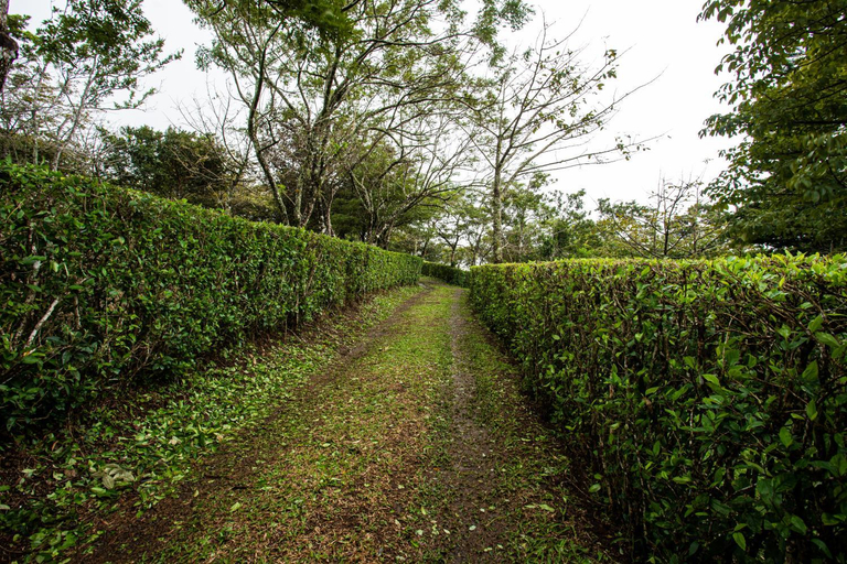 Others 4, Pochote Lodge, Bagaces