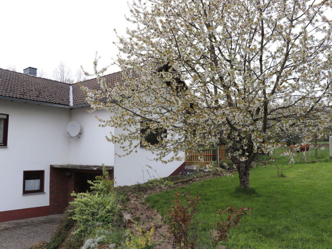 Exterior 4, Holiday Home Am Beulskopf, Altenkirchen (Westerwald)
