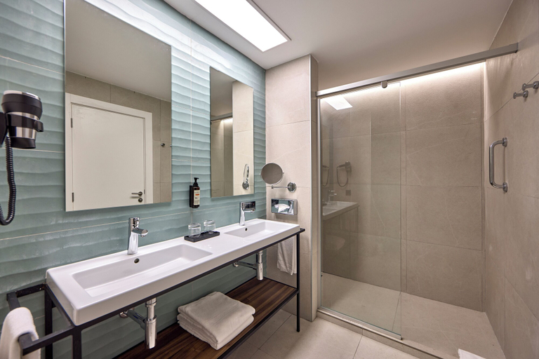 Bathroom 5, Hotel Riu Turquoise - All Inclusive, Black River