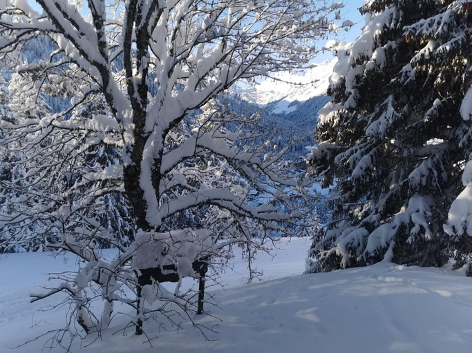 Others 3, Appartement - dans le chalet Carmazin, Monthey