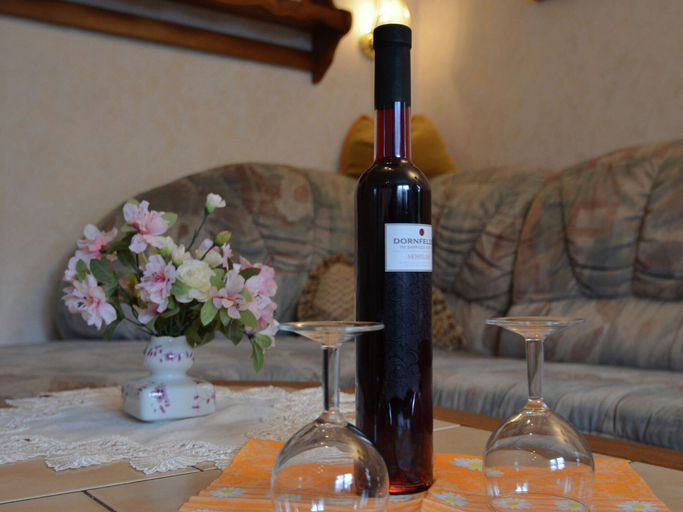Food & Drinks, Heatable Pool Retreat, Saalfeld-Rudolstadt