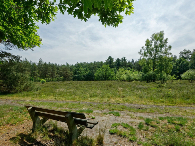 Others 3, Tidy Furnished Chalet With a Dishwasher, Lochem