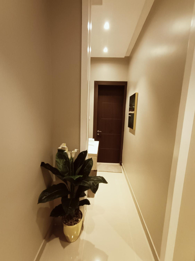 Others 4, F residence, Beauty & Luxury