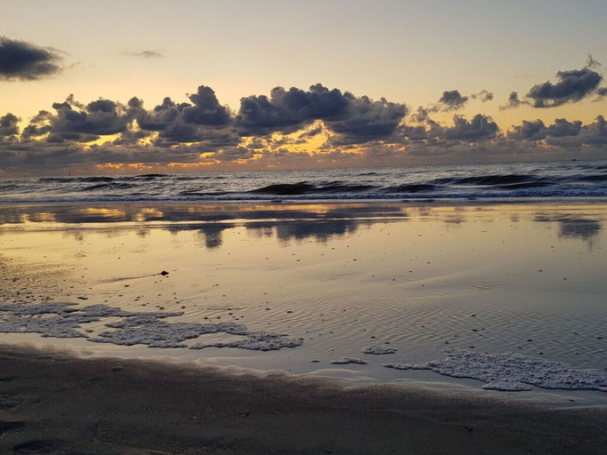 Beach, "de Zeehond" Strandslag, Den Helder