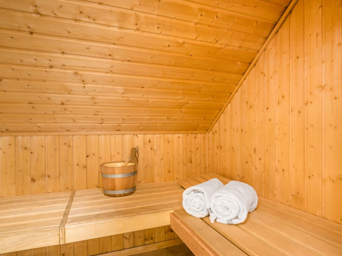 Property amenity, Luxurious Villa With Pool and Sauna, Weert