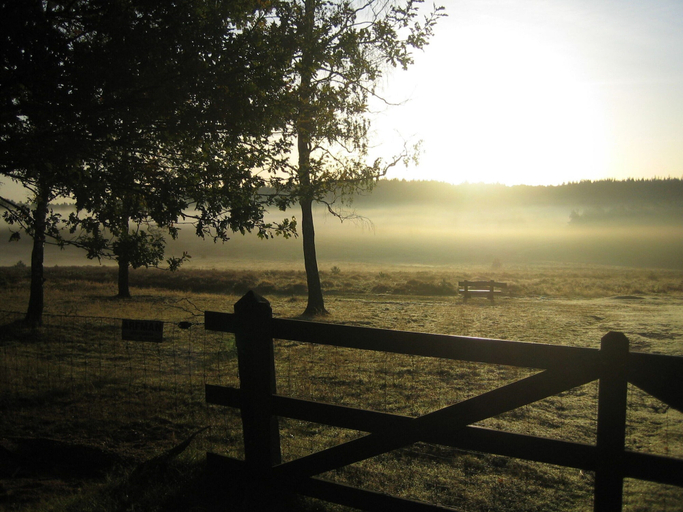 View from property 3, Forest-edge Villa With Sauna, Apeldoorn