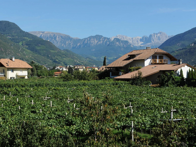 Exterior 3, Lagrein in the Prantenbergergut, Bolzano