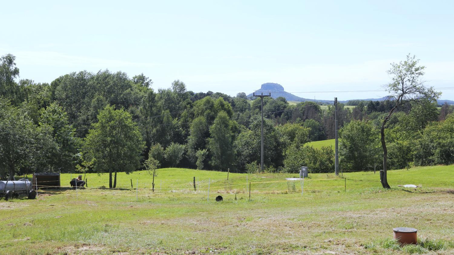 Others 4, Auszeit mit Weitblick in der Sachsischen Schweiz - kleiner Bauernhof mit Tieren und Wallbox, Sächsische Schweiz-Osterzgebirge