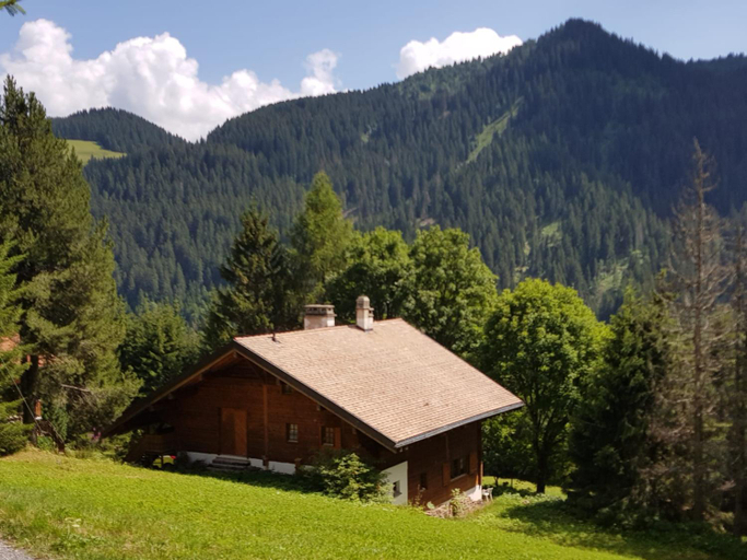 Others 2, Appartement - dans le chalet Carmazin, Monthey