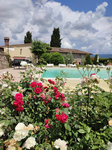 Swimming Pool 6