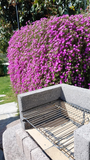 Others 4, Il Giardino di Gio', Imperia