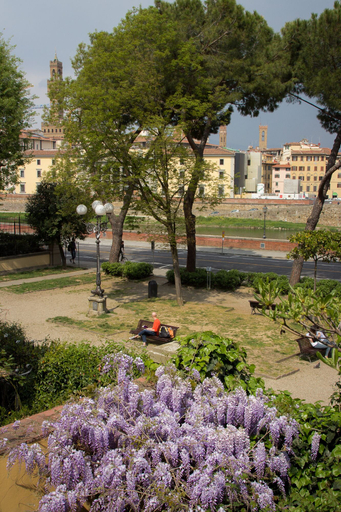 View from room 5, River dream, Florence