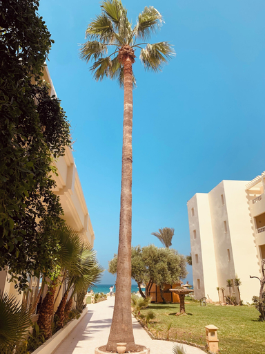 Exterior & Views 2, Sol Palmeras Beach - Family Hotel, Sousse Médina