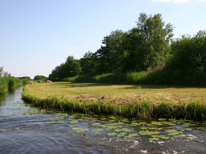 View from property 4, Charming Home w/ Garden, Steenwijkerland