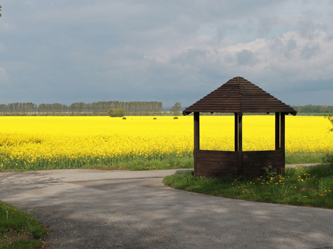 View from property 4, Wohnung mit Grossem Garten an der Ostseekuste, Rostock