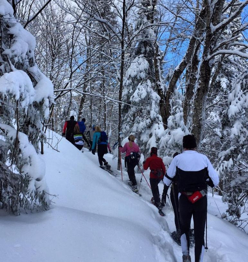 2, 100 Chemin des Ruisselets, La Jacques-Cartier