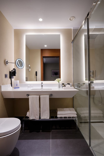 Bathroom 3, Radisson Blu Hotel Ankara Cankaya, Çankaya
