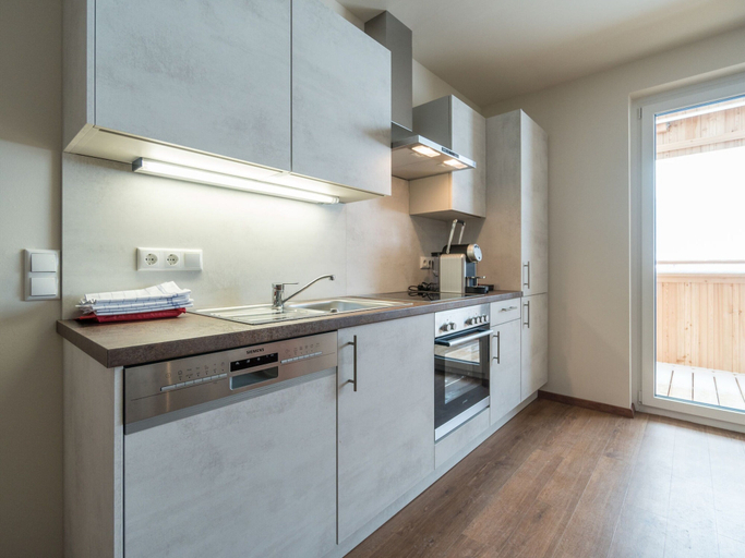 Others 2, Luxurious Apartment in Gosau Near Ski Area, Gmunden