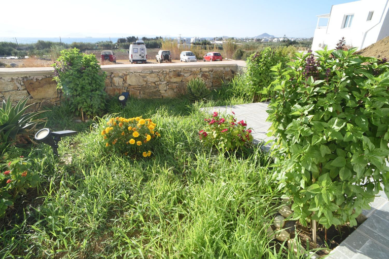 Garden, Fotis apartments Naxos Plaka, South Aegean