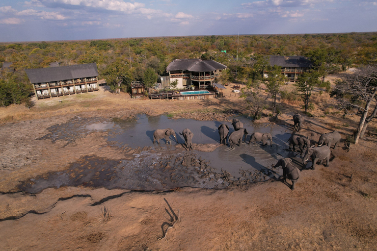 Others 5, Chobe Mopani Forest Lodge & Camp site, Chobe