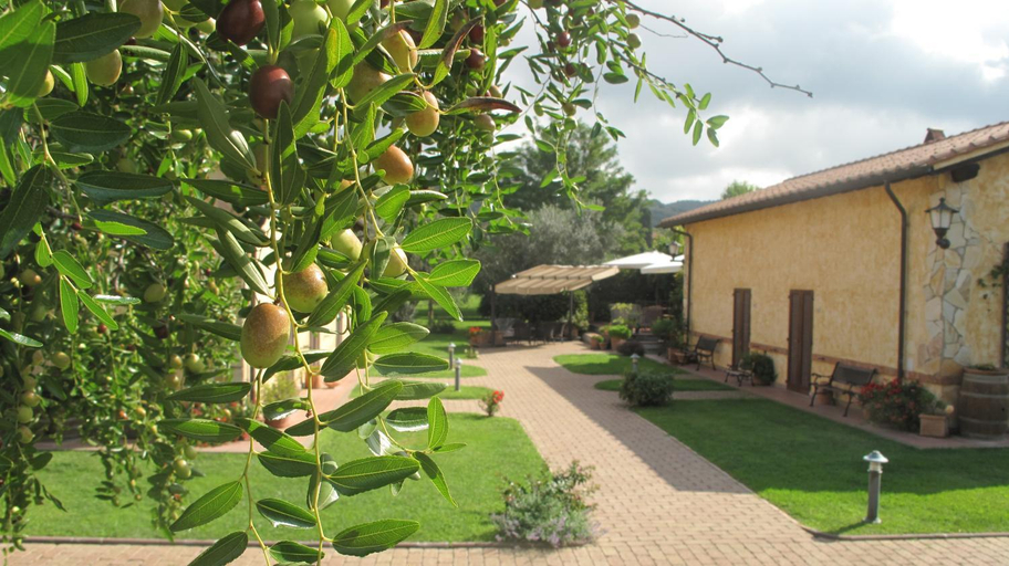 Others 4, Podere Turicchio, Grosseto