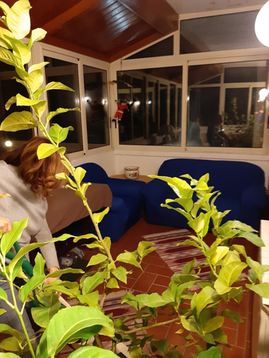 Others 5, casa vacanze Rita, Perugia