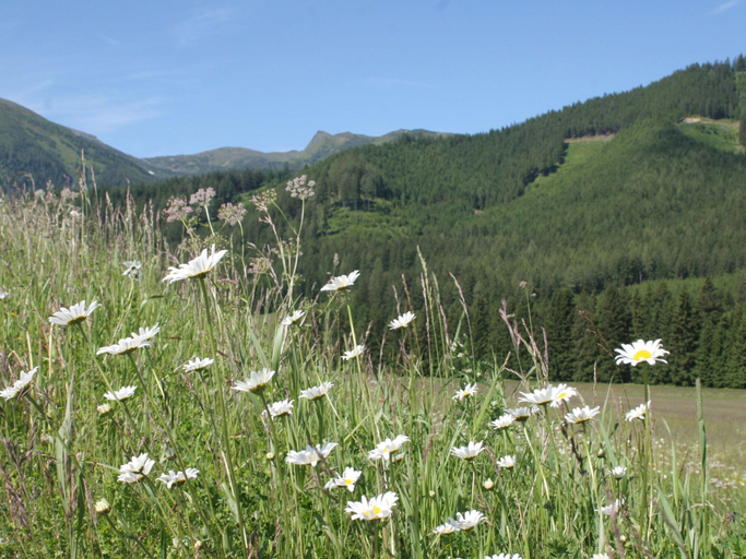 Others 3, Chalet Hohentauern by Ski Lift, Murtal
