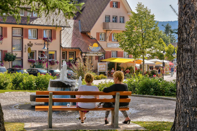 Others 5, Hotel Sonneneck Titisee - adults only, Breisgau-Hochschwarzwald