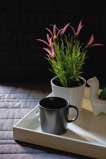 Food & Drinks 5, Apartment Near Old Town by Renters, Kraków City