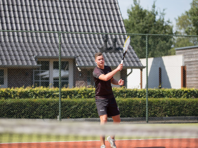 Sport court, Relaxing Sauna Villa Retreat, Ommen