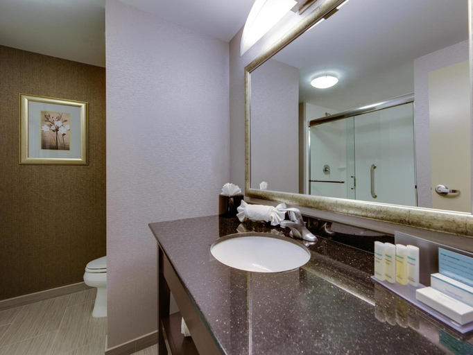 Bathroom 3, Hampton Inn & Suites Philadelphia/Bensalem, Bucks