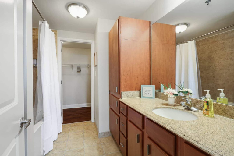 Bathroom 4, Delightful Downtown Modern Condos, Orleans