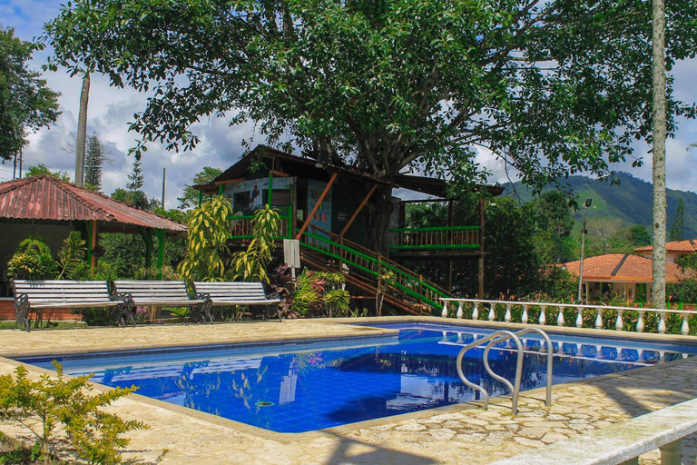 Others 4, Room with 2 double beds Number 14, Pereira