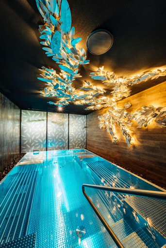 Sport & Beauty 2, Radisson Blu Carlton Hotel, Bratislava, Bratislava